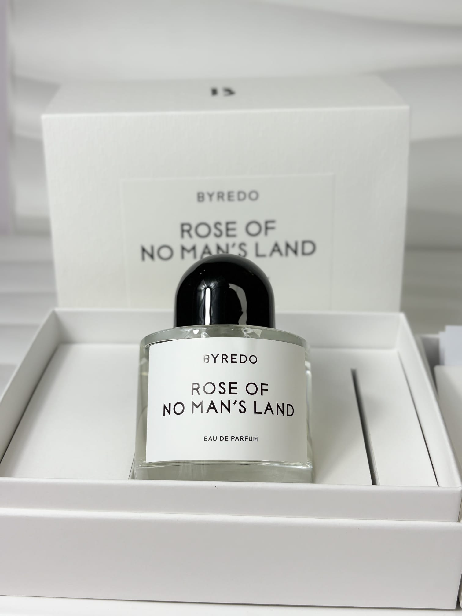 BYREDO ROSE OF NO MAN'S LAND